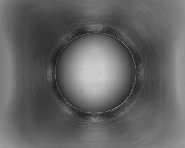 X0000113100641200909041227