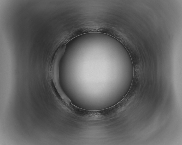 X0000113100642200909041227