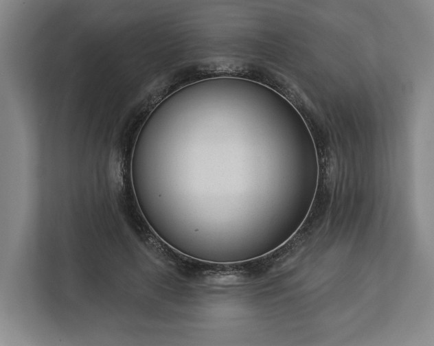 X0000113100643200909041227