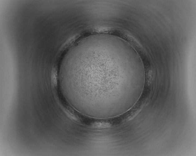 X0000113100644200909041227