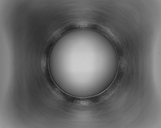X0000113100645200909041227
