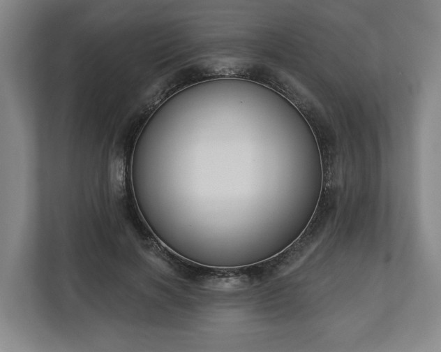 X0000113100646200909041227