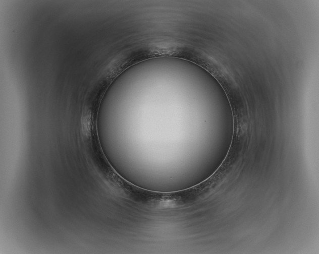 X0000113100647200909041227