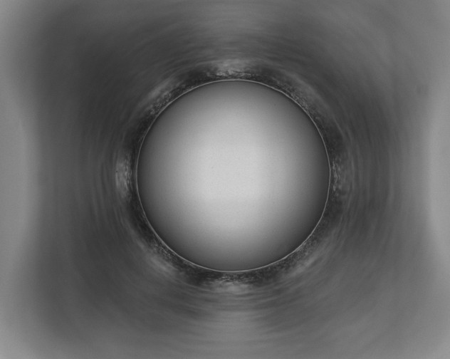 X0000113100648200909041227