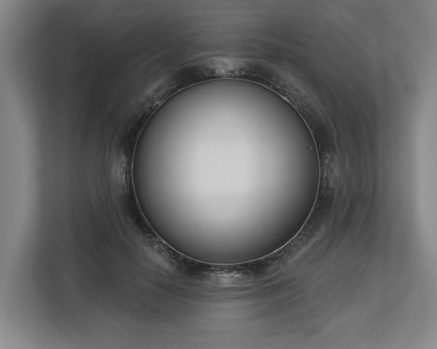 X0000113100650200909041227