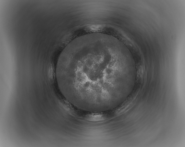 X0000113100651200909041227