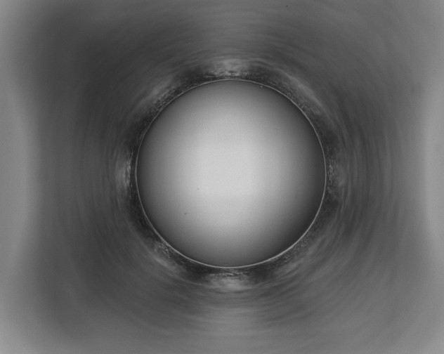X0000113100652200909041227