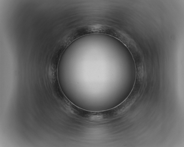 X0000113100653200909041227