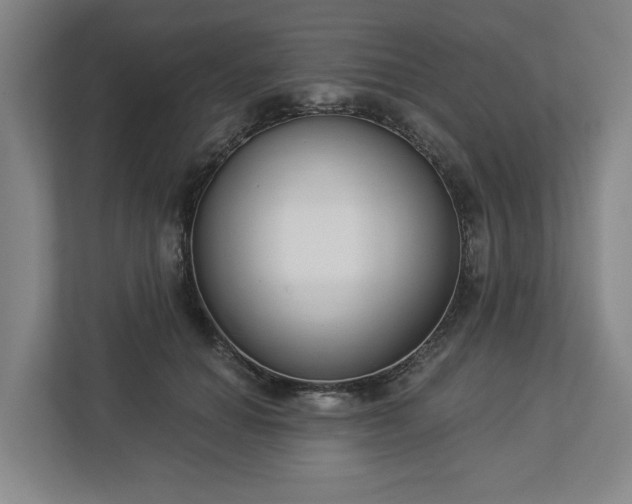 X0000113100654200909041227