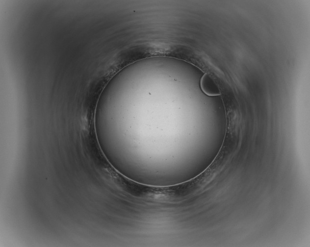 X0000113100655200909041227