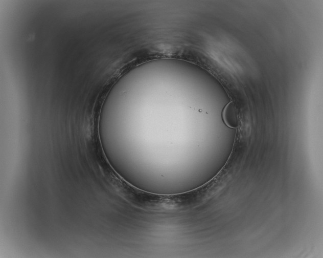 X0000113100656200909041227