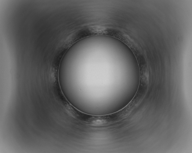 X0000113100658200909041227