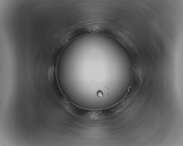 X0000113100660200909041227