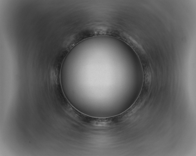 X0000113100661200909041227