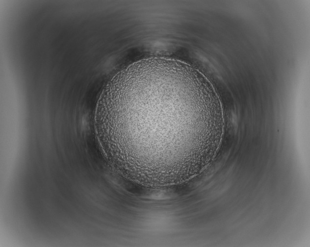 X0000113100663200909041227