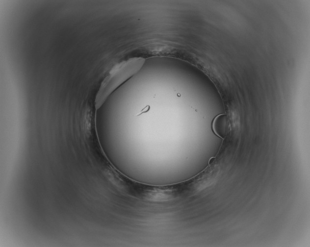 X0000113100664200909041227