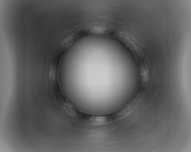 X0000113100665200909041227