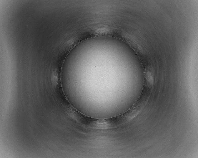 X0000113100668200909041227