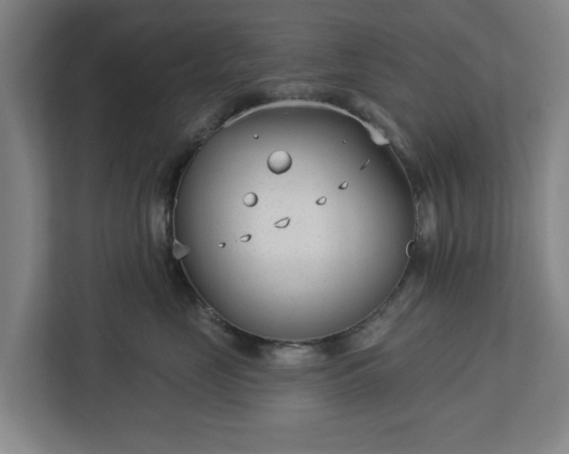 X0000113100669200909041227