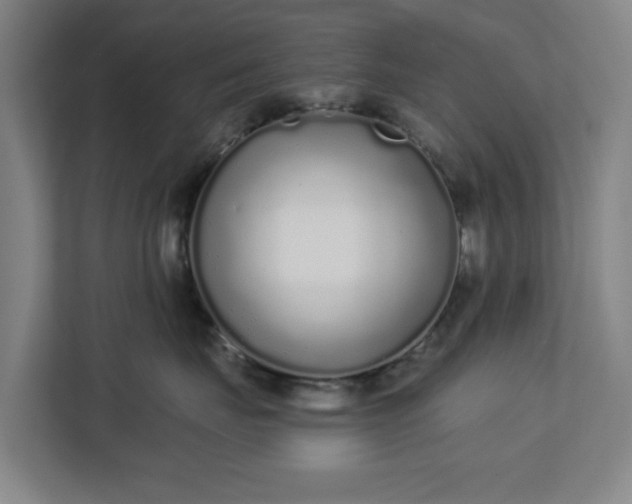 X0000113100671200909041227