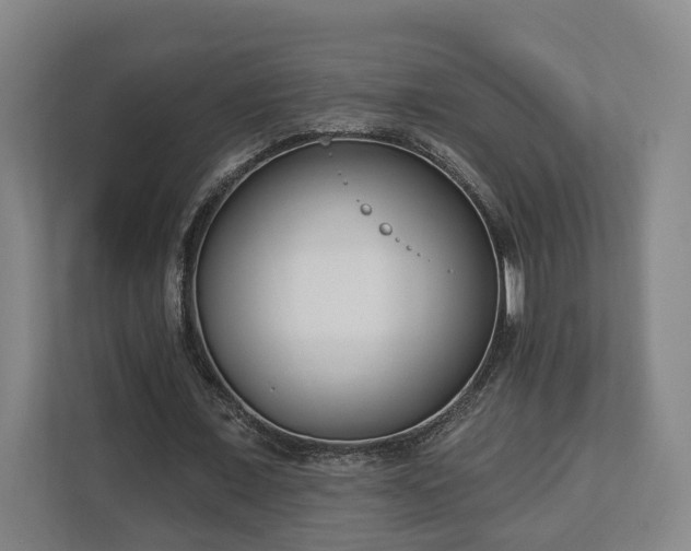 X0000113100675200909041226