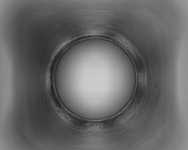 X0000113100676200909041226