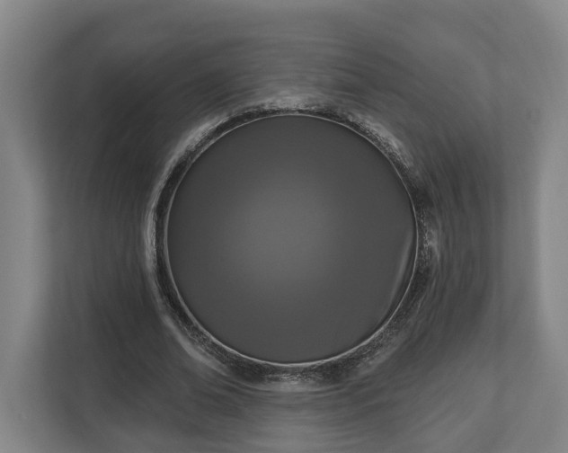 X0000113100678200909041226