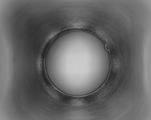 X0000113100680200909041226