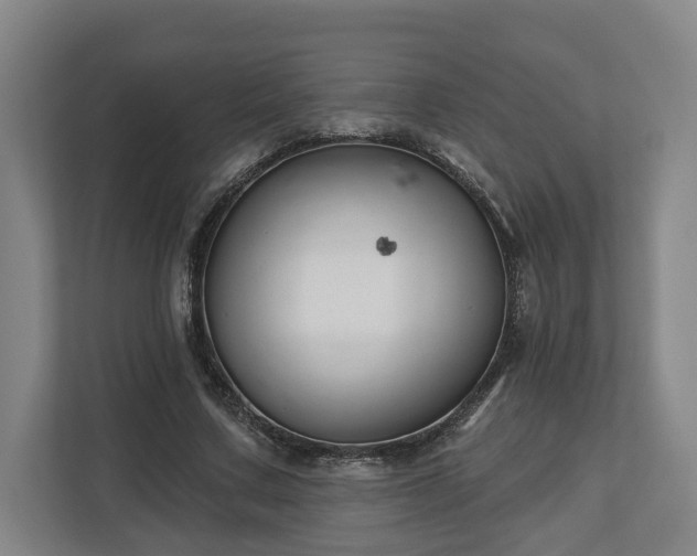 X0000113100683200909041226