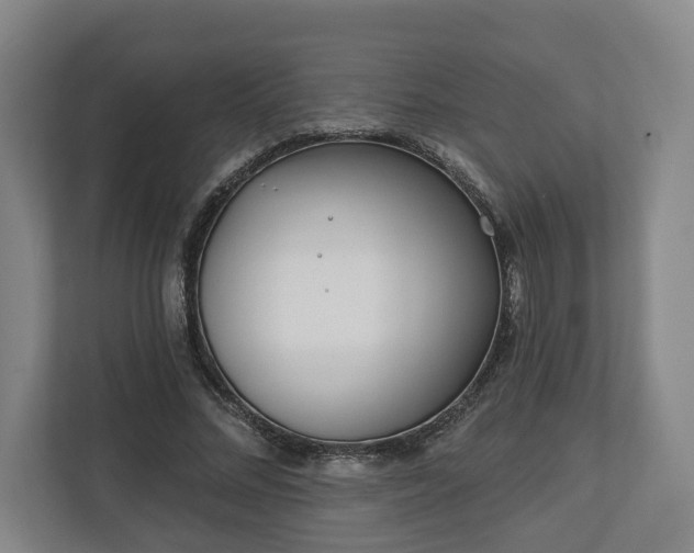 X0000113100684200909041226