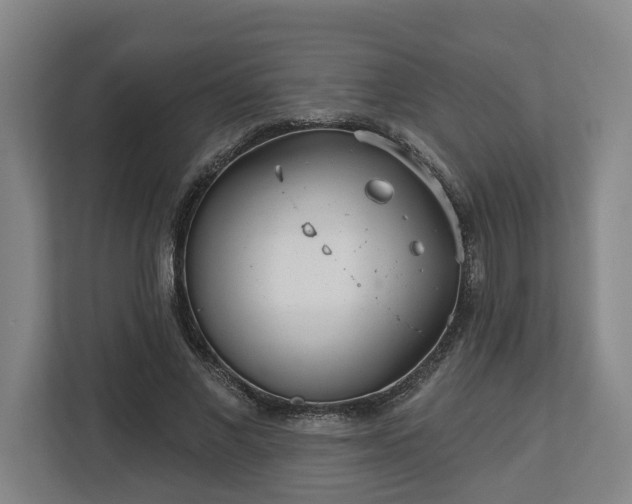 X0000113100685200909041226