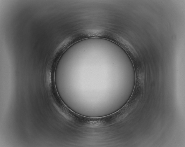 X0000113100686200909041226