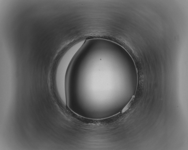 X0000113100688200909041226
