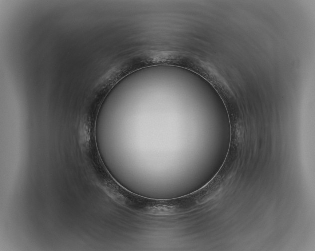 X0000113100691200909041226