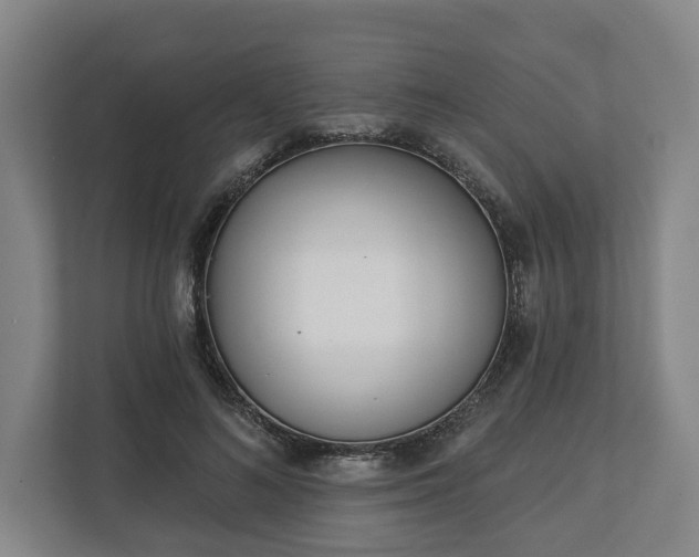 X0000113100692200909041226