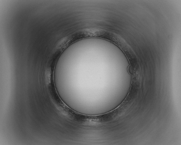 X0000113100694200909041226