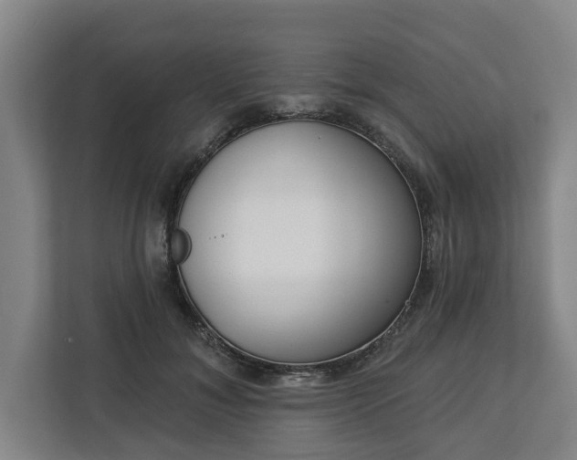 X0000113100700200909041226