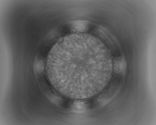 X0000113100701200909041226