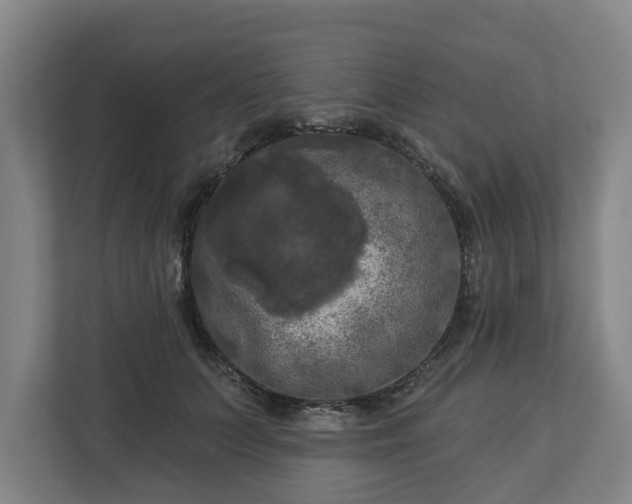 X0000113100703200909041226