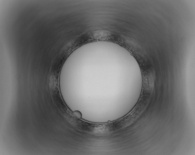 X0000113100705200909041226