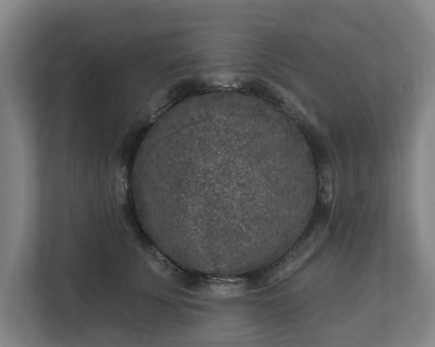 X0000113100707200909041226