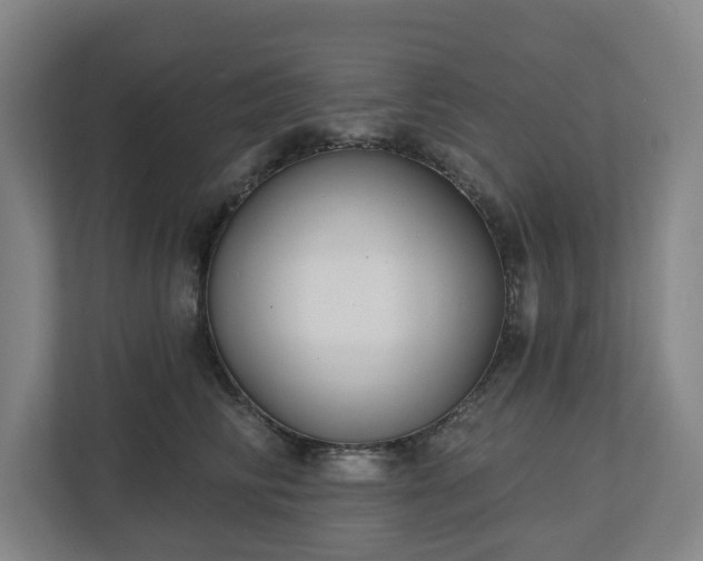 X0000113100710200909041226