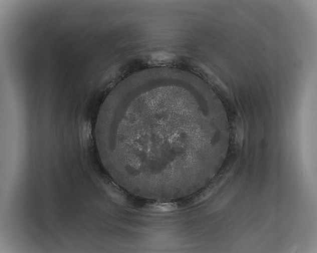 X0000113100711200909041226