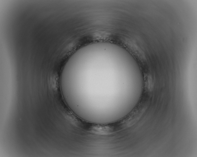 X0000113100712200909041226