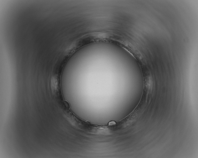 X0000113100715200909041226