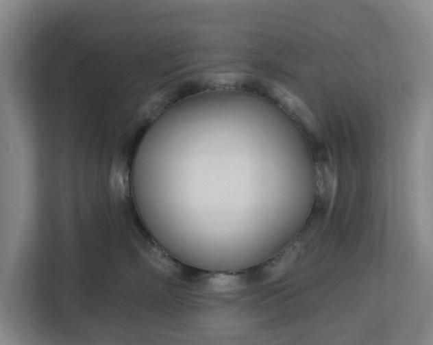 X0000113100718200909041226