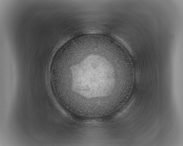 X0000113100721200909041225