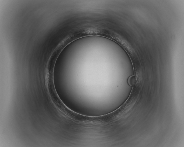 X0000113100722200909041225