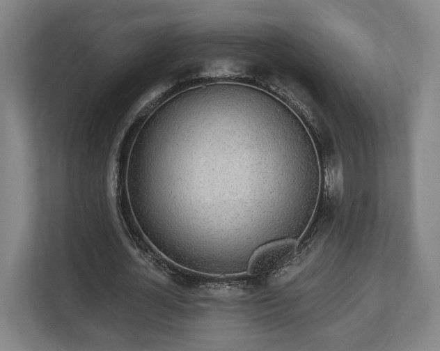 X0000113100724200909041225