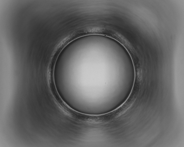 X0000113100725200909041225